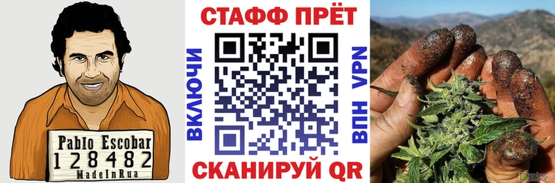 Как найти наркотики Курильск Альфа ПВП  МАРИХУАНА  Меф мяу мяу  Псилоцибиновые грибы  ГАШИШ 